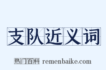 支队近义词是什么意思的图片